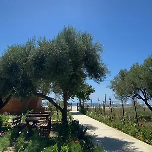 https://campingviolet.albaniahotels.org